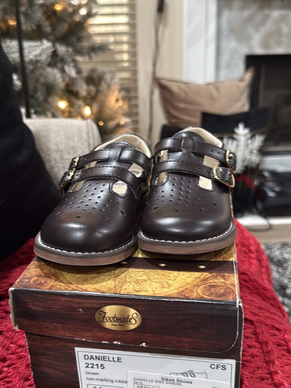 FootMates Dark Brown Kids Double-Strap Dress Shoes